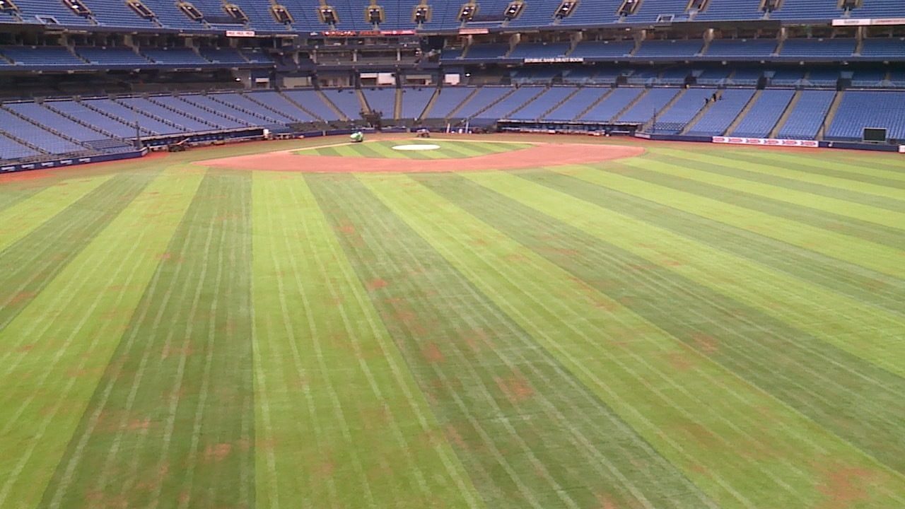 Rays Field.jpg