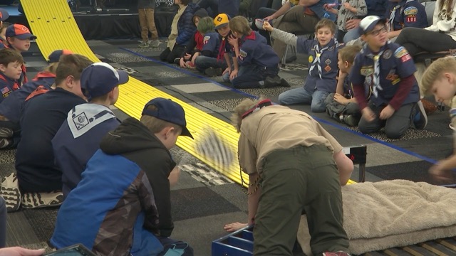 Pinewood Derby 2024.jpeg