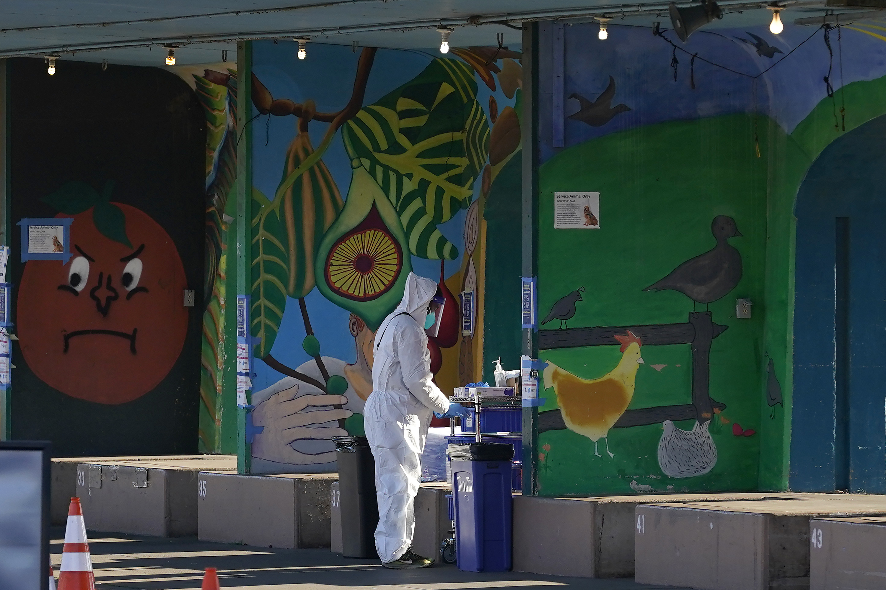 Virus Outbreak California