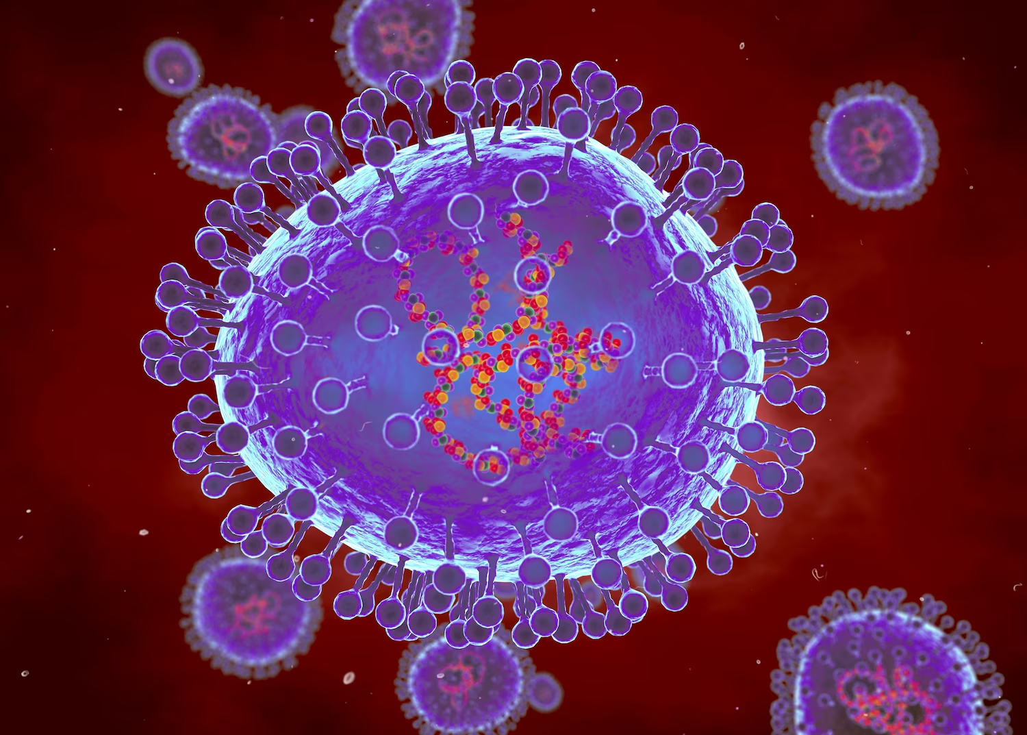 Human metapneumovirus