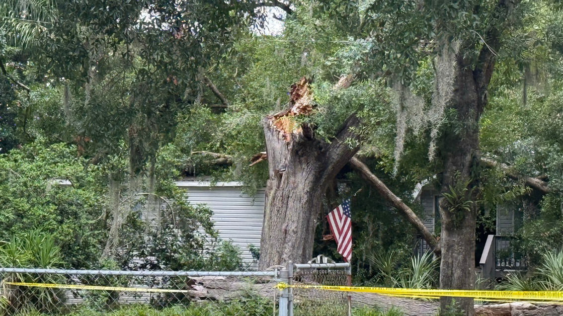 1 dead after tree falls on home in Pasco County: PSO