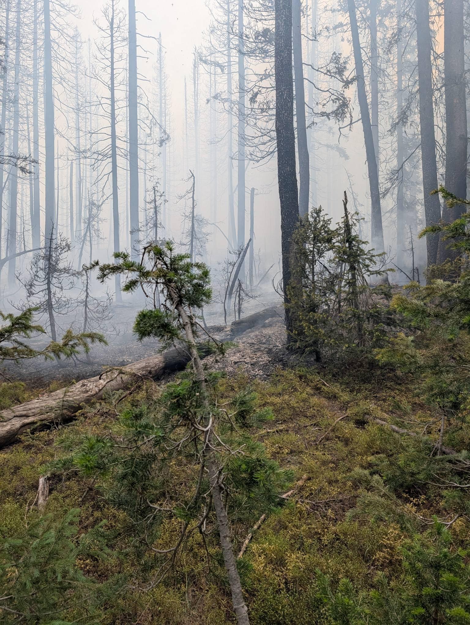 Fishhook Fire, Green Ridge Fire near Steamboat Springs continue to burn ahead of another hot day