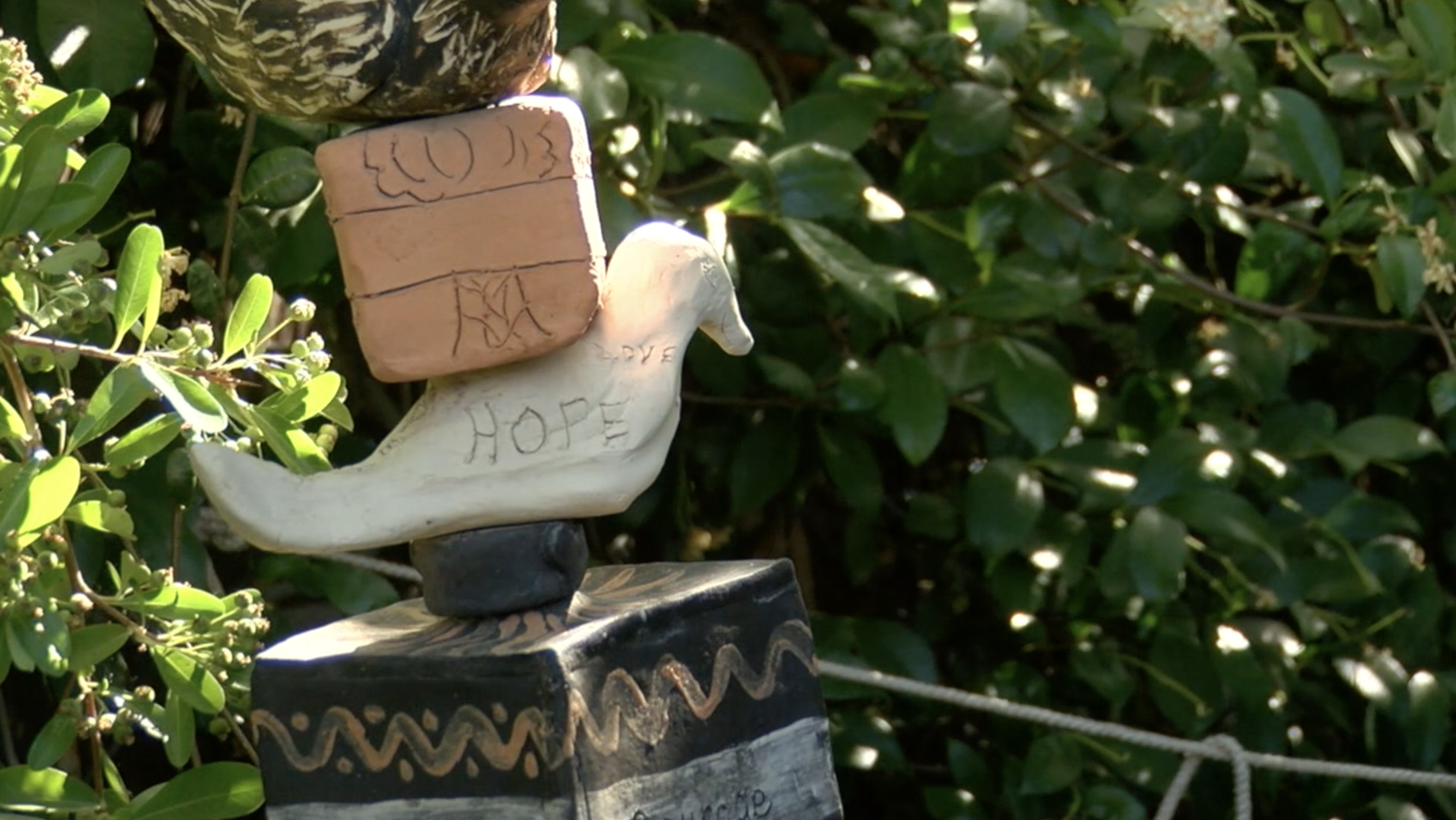 Cancer resources 6-5-24