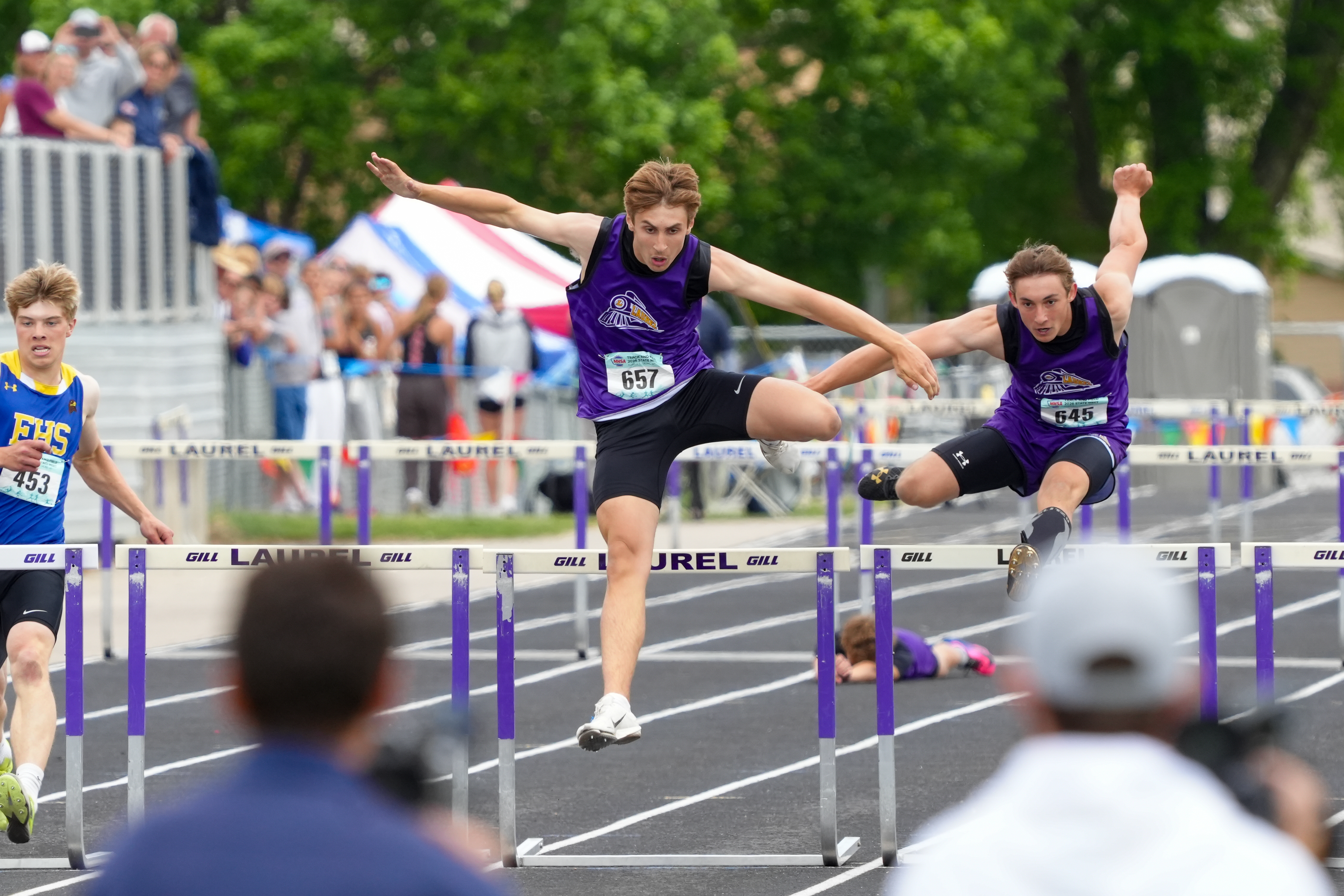 Laurel hurdlers