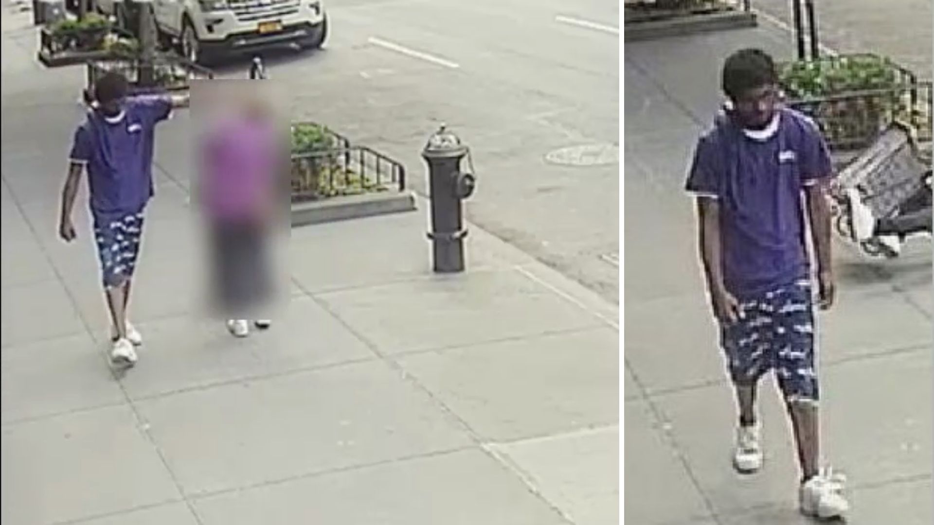 Suspect in custody after 92-year-old woman shoved, hit head on fire hydrant in New York