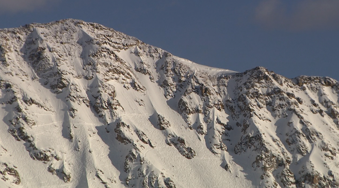 State of the snowpack: Explaining runoff predictions for the summer