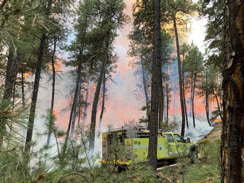 BobCat fire claims 23 homes, burns more than 30K acres near Roundup