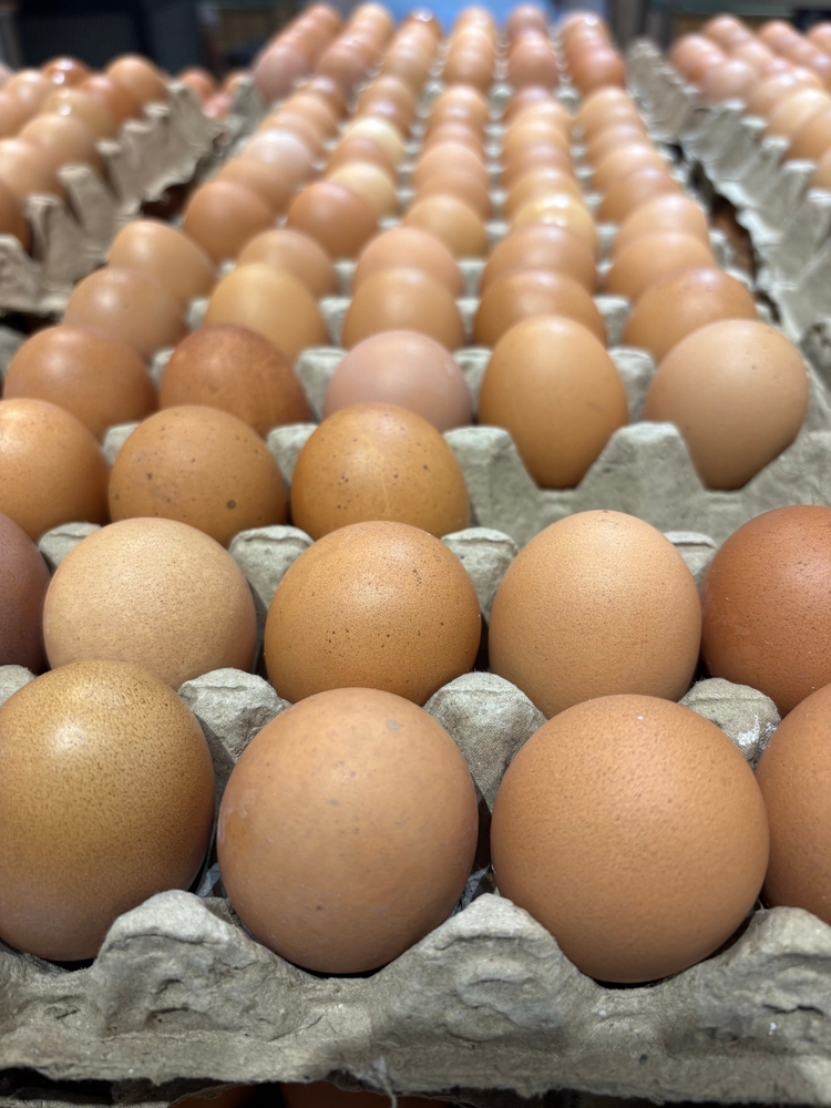 A,Neatly,Arranged,Tray,Of,Brown,Chicken,Eggs,In,Rows,
