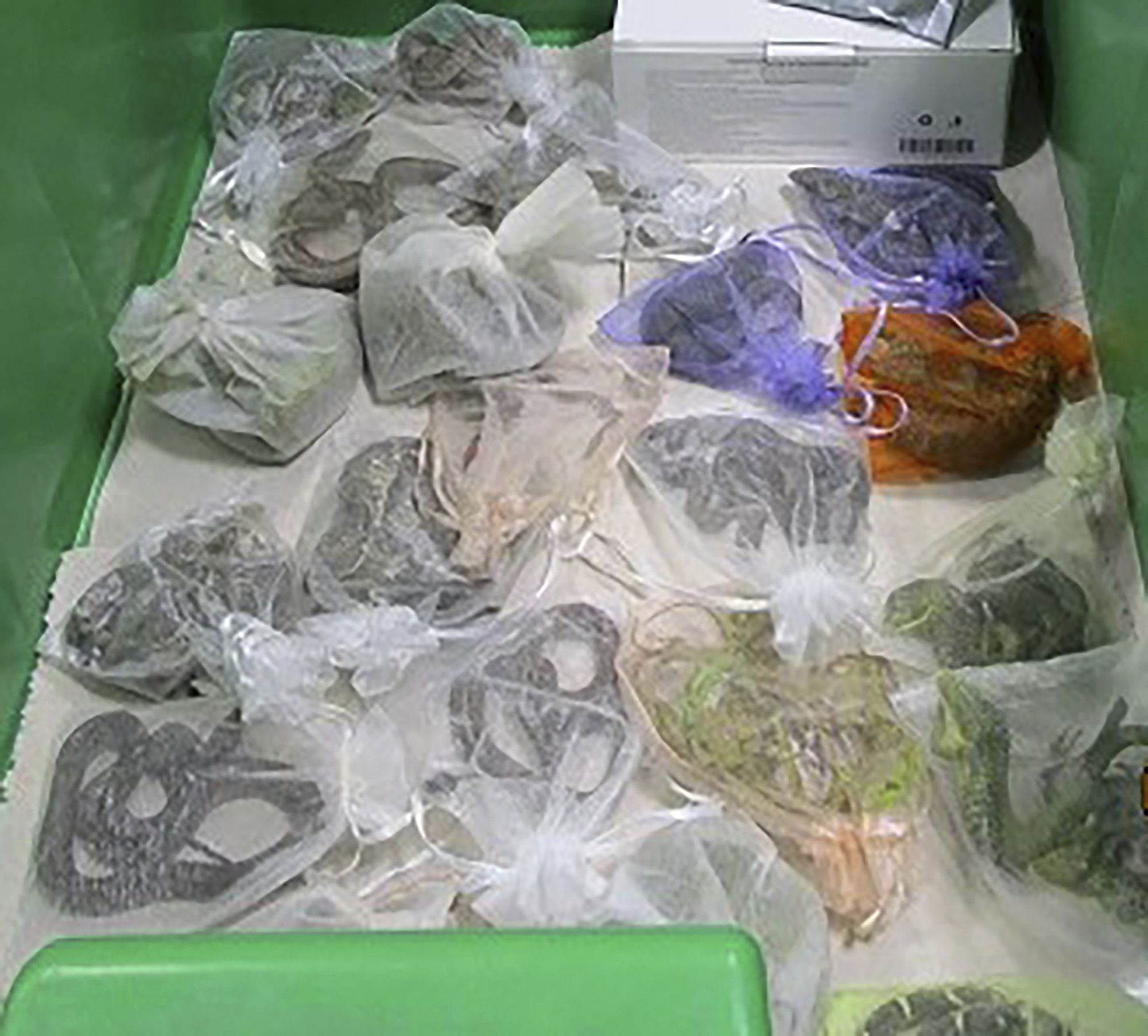 Smuggled Critters