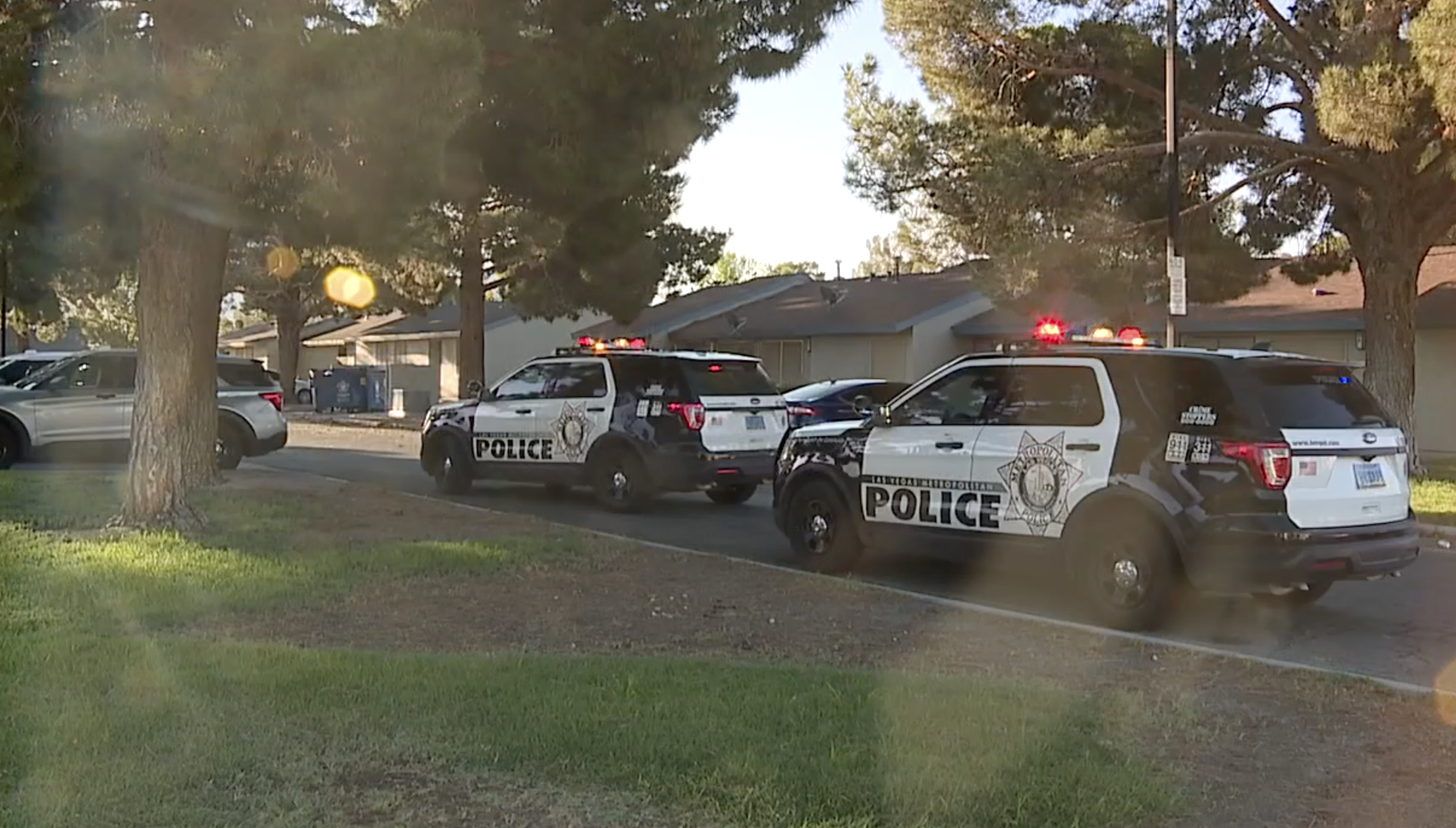 Marion Drive homicide investigation