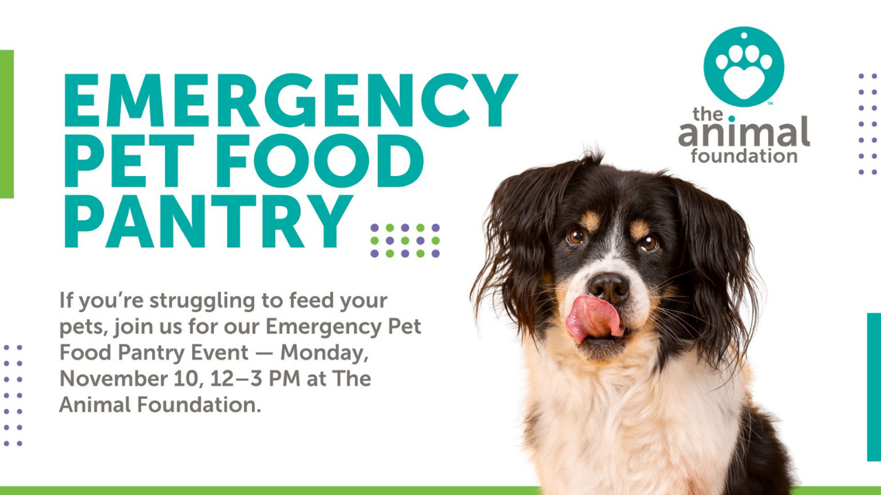 Emergency Pet Food Pantry event at The Animal Foundation