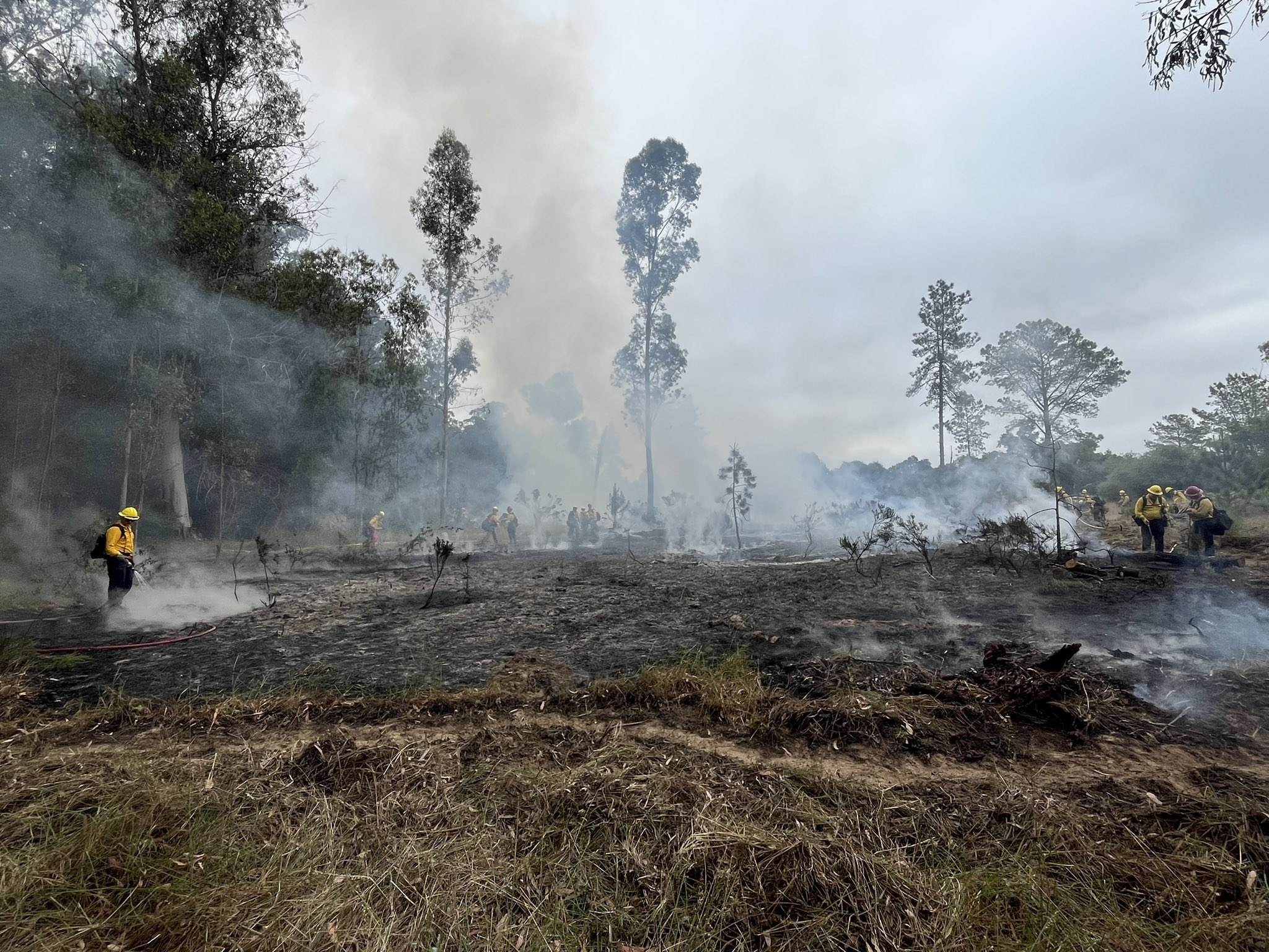 mercury drive fire.jpg