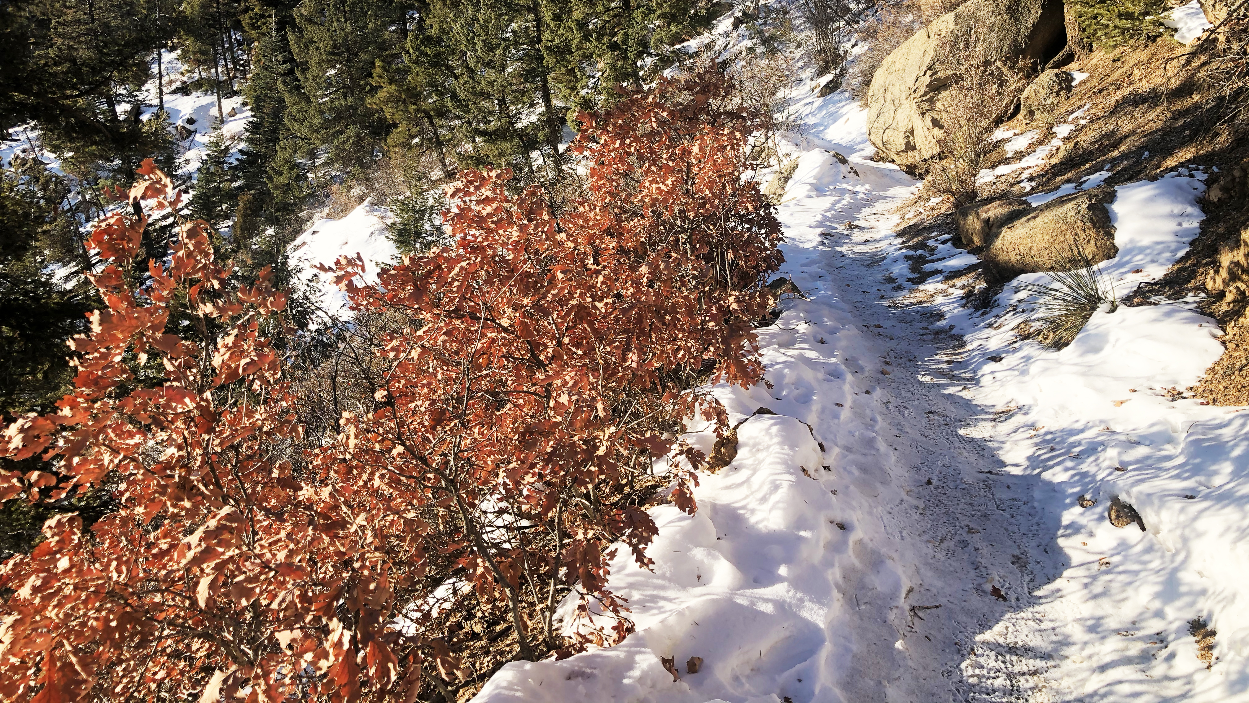 barr trail_feb 2020.jpg