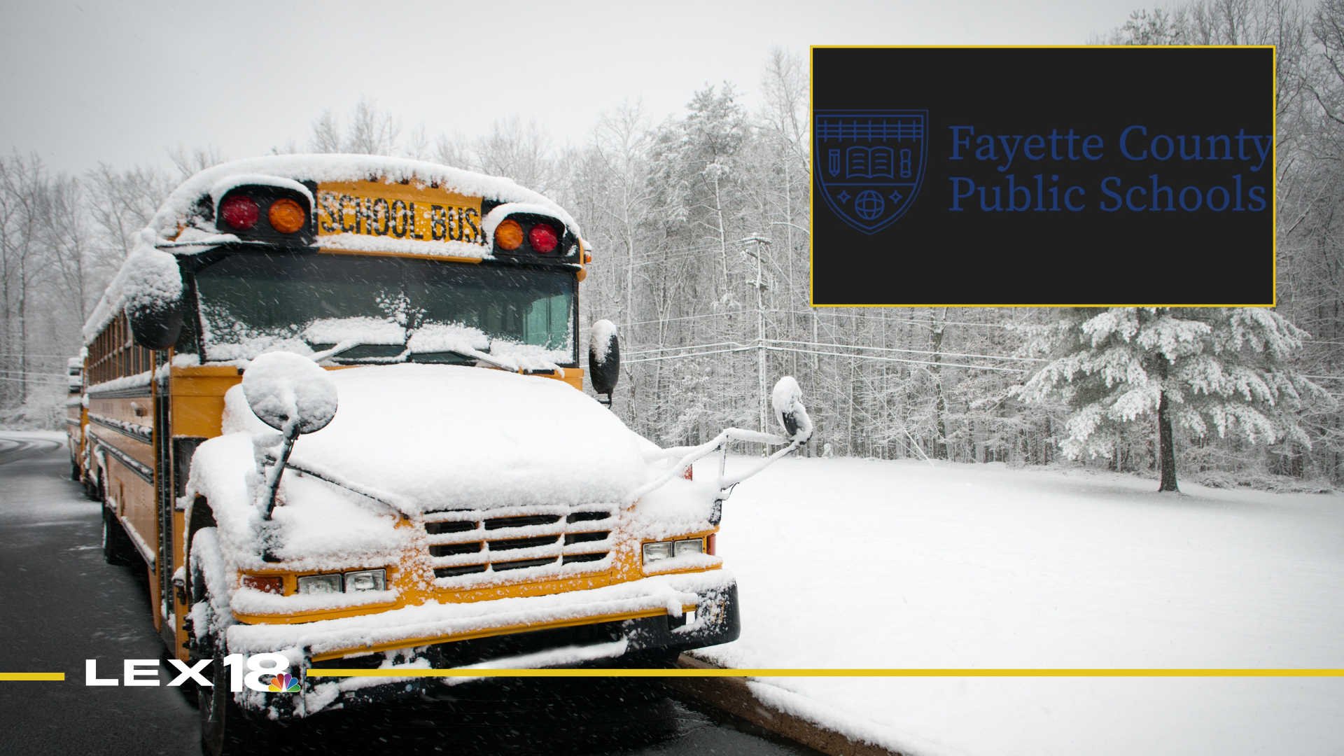 Featured Image Custom Edit (2).png