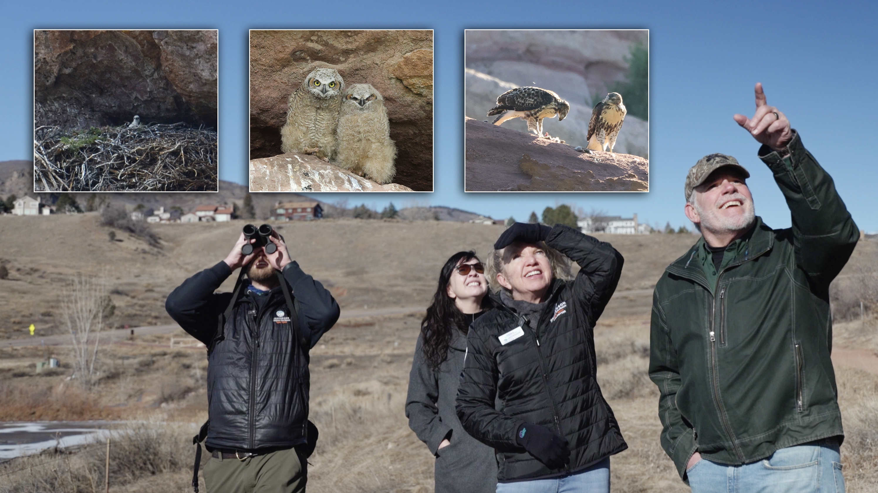 raptors thumbnail.jpg