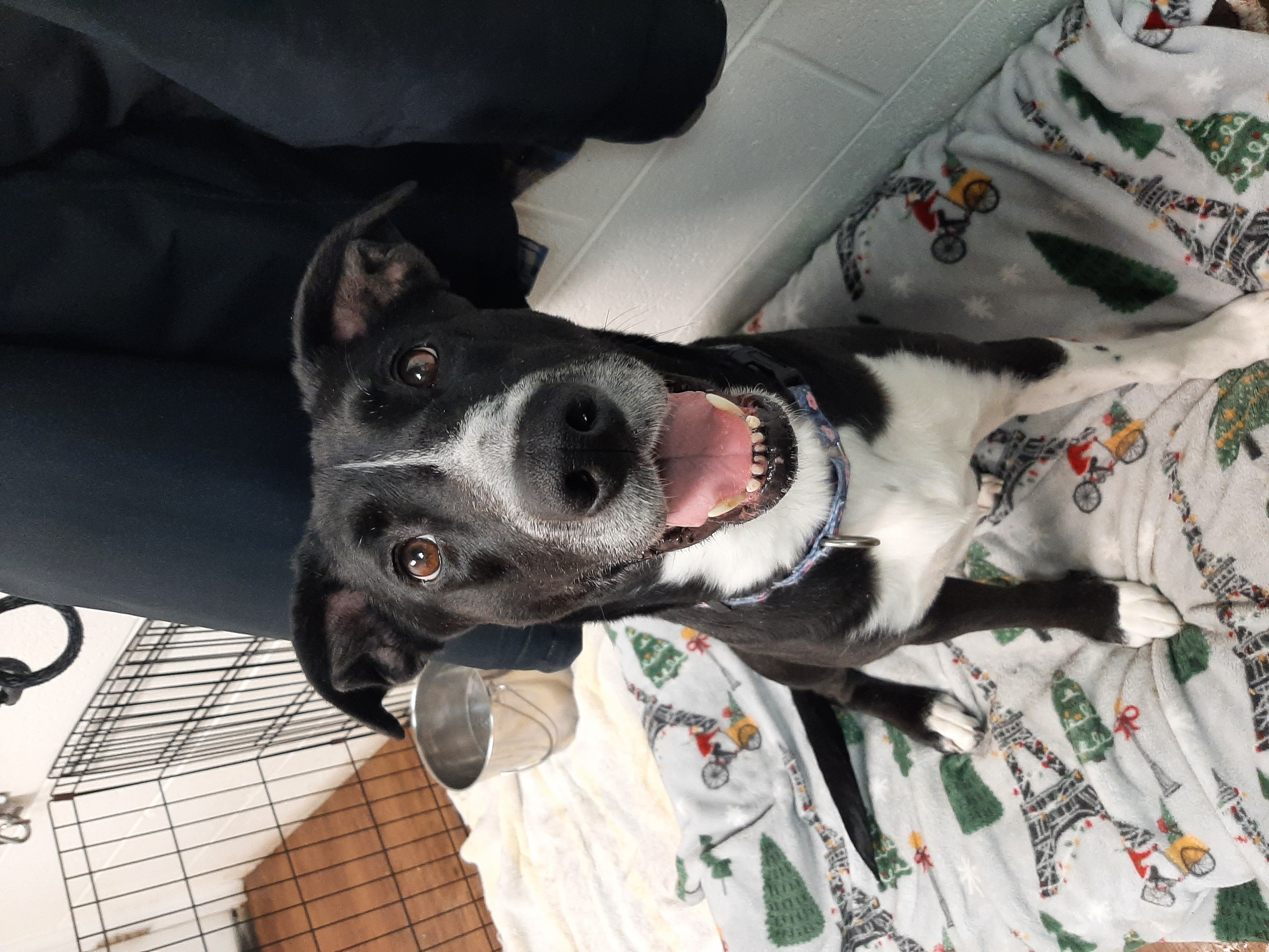 Zina, Mackenzie's Animal Sanctuary