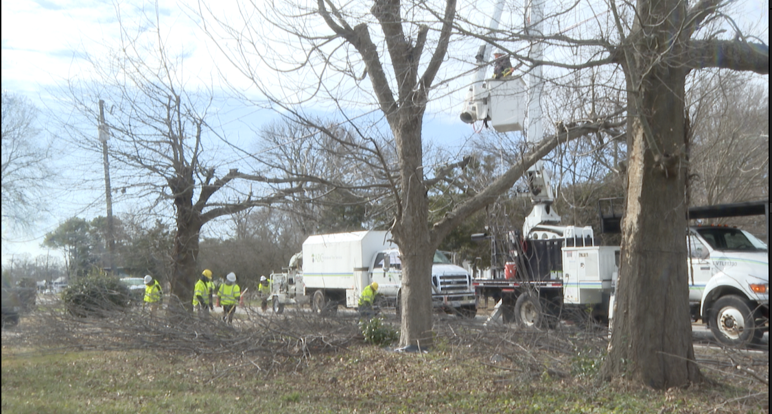 Loose branches and tree limbs are taken down by Dominion Energy ahead of winter storm