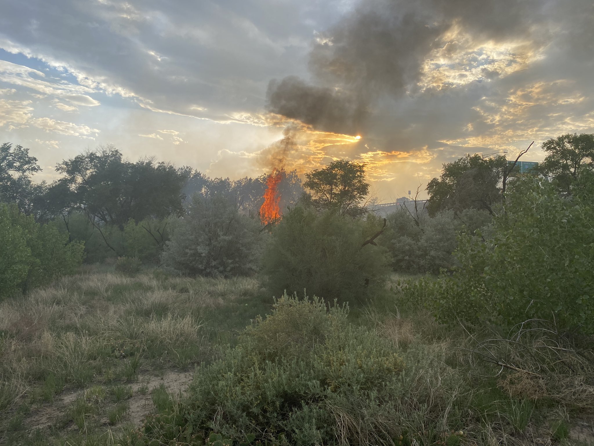 Pueblo Fire responding to 'large wildland fire' burning at Belmont interchange of I-25 6-17-22