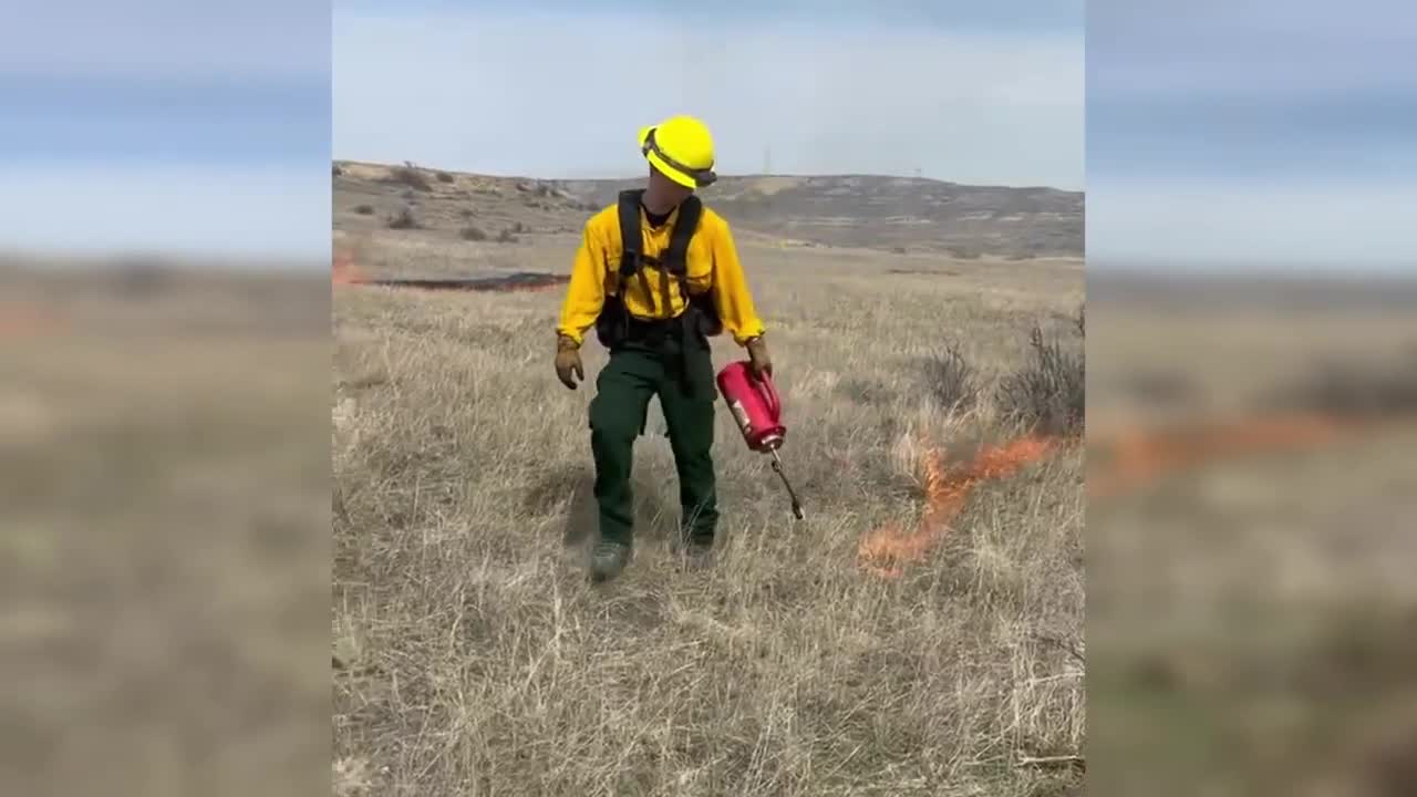 Custer Co Prescribed Burn 