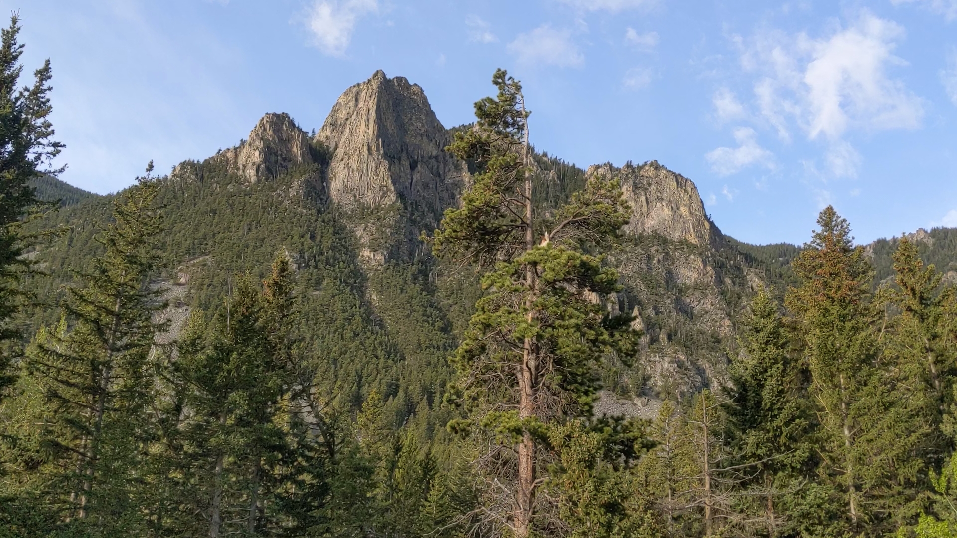 Historic Yellowstone buses make trek to celebrate Beartooth Highway opening - Vimarsana News