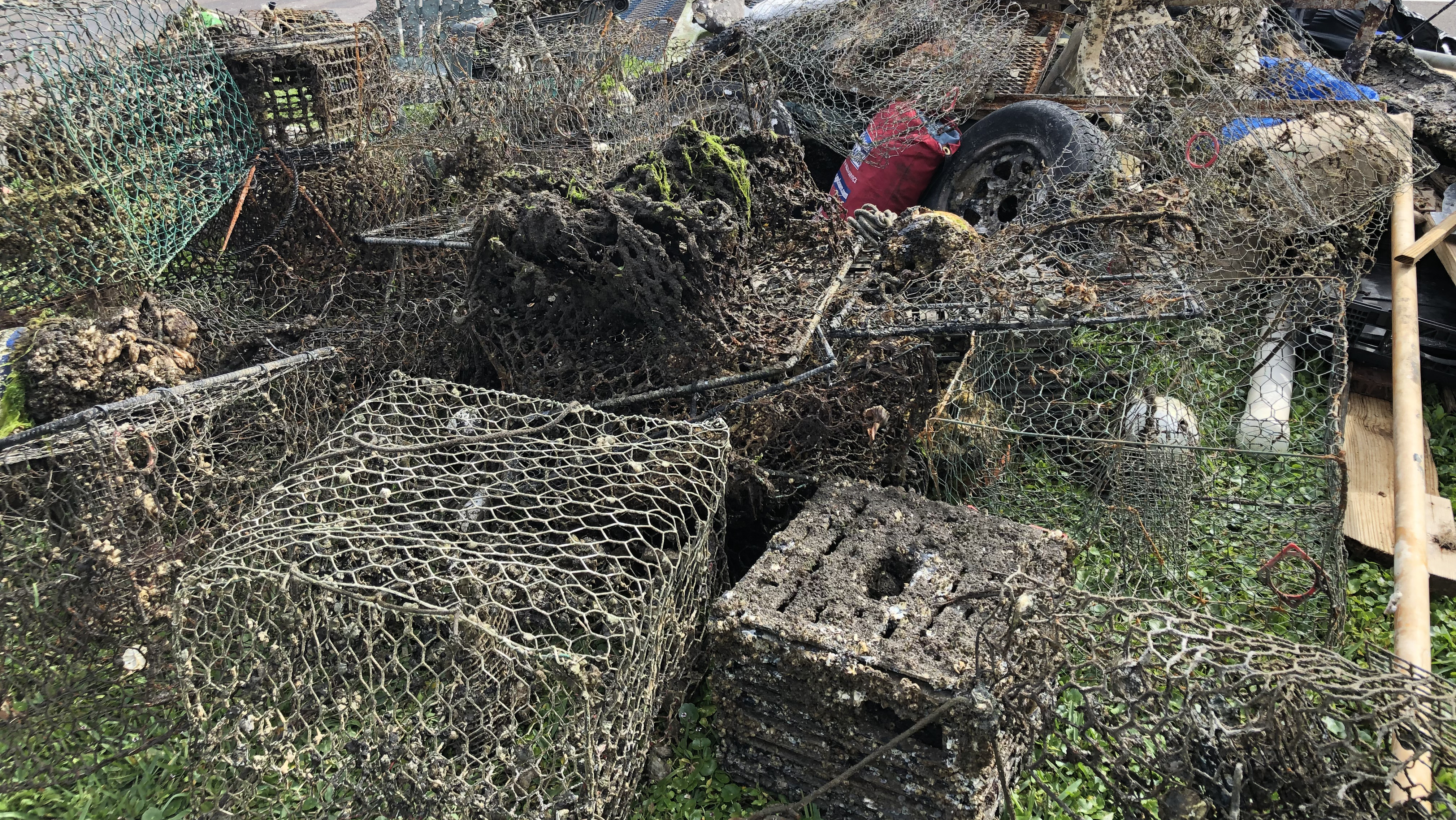 crab traps 3.jpg
