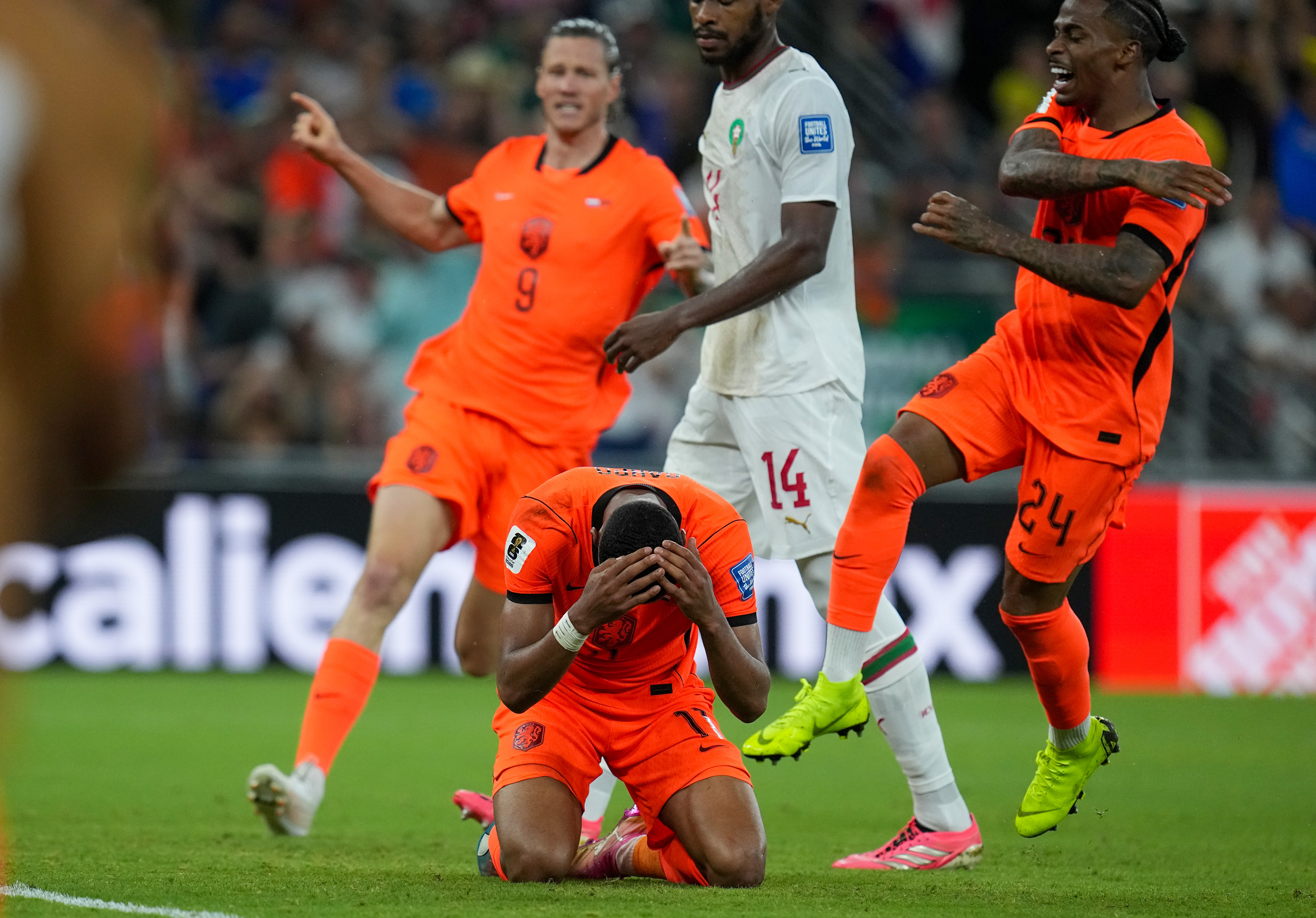 Netherlands' Cody Gakpo (11) celebrates the opening goal during the World Cup round of 32 soccer match between the Netherlands and Morocco in Guadalupe, near Monterrey, Mexico, Monday, June 29, 2026.