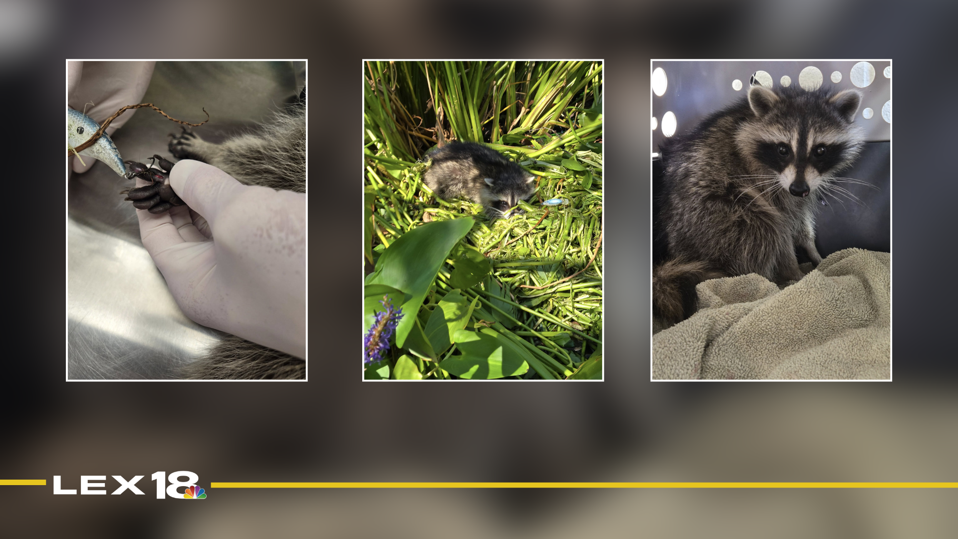Featured Image Custom Edit.png