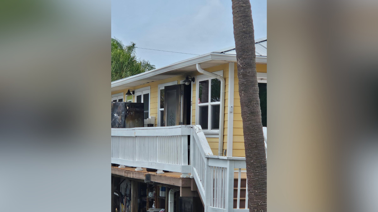 cat dies in Indian Rocks Beach
