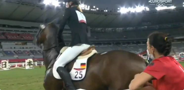 german horse.JPG