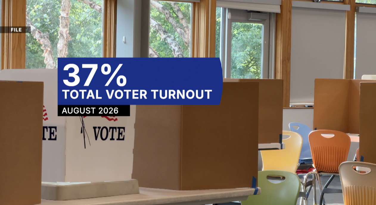 voter turnout pic.png