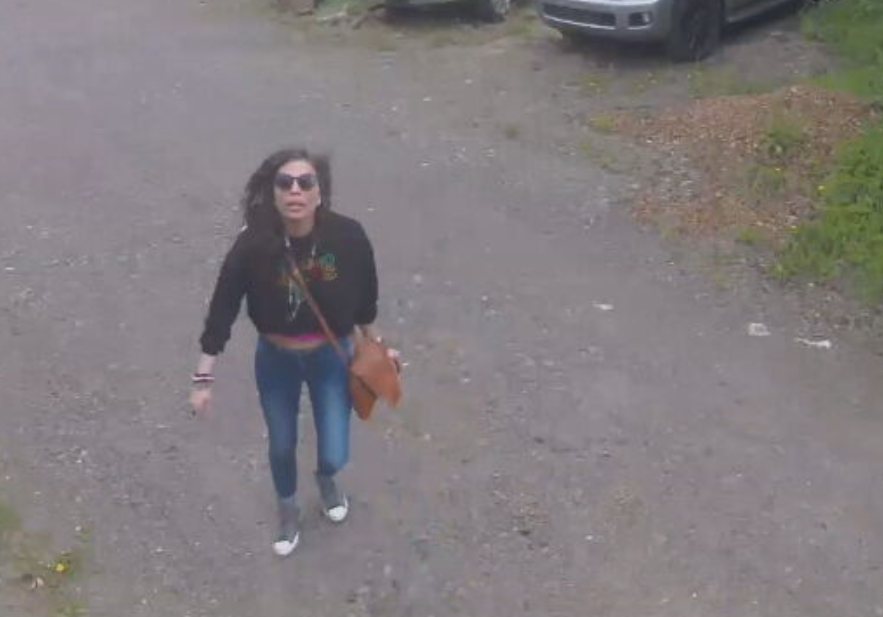Surveillance video