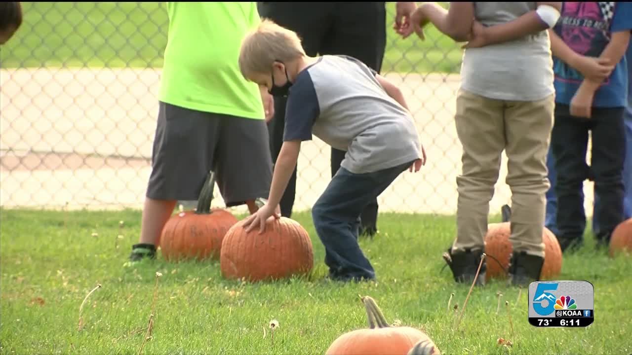 Beulah pumpkin patch