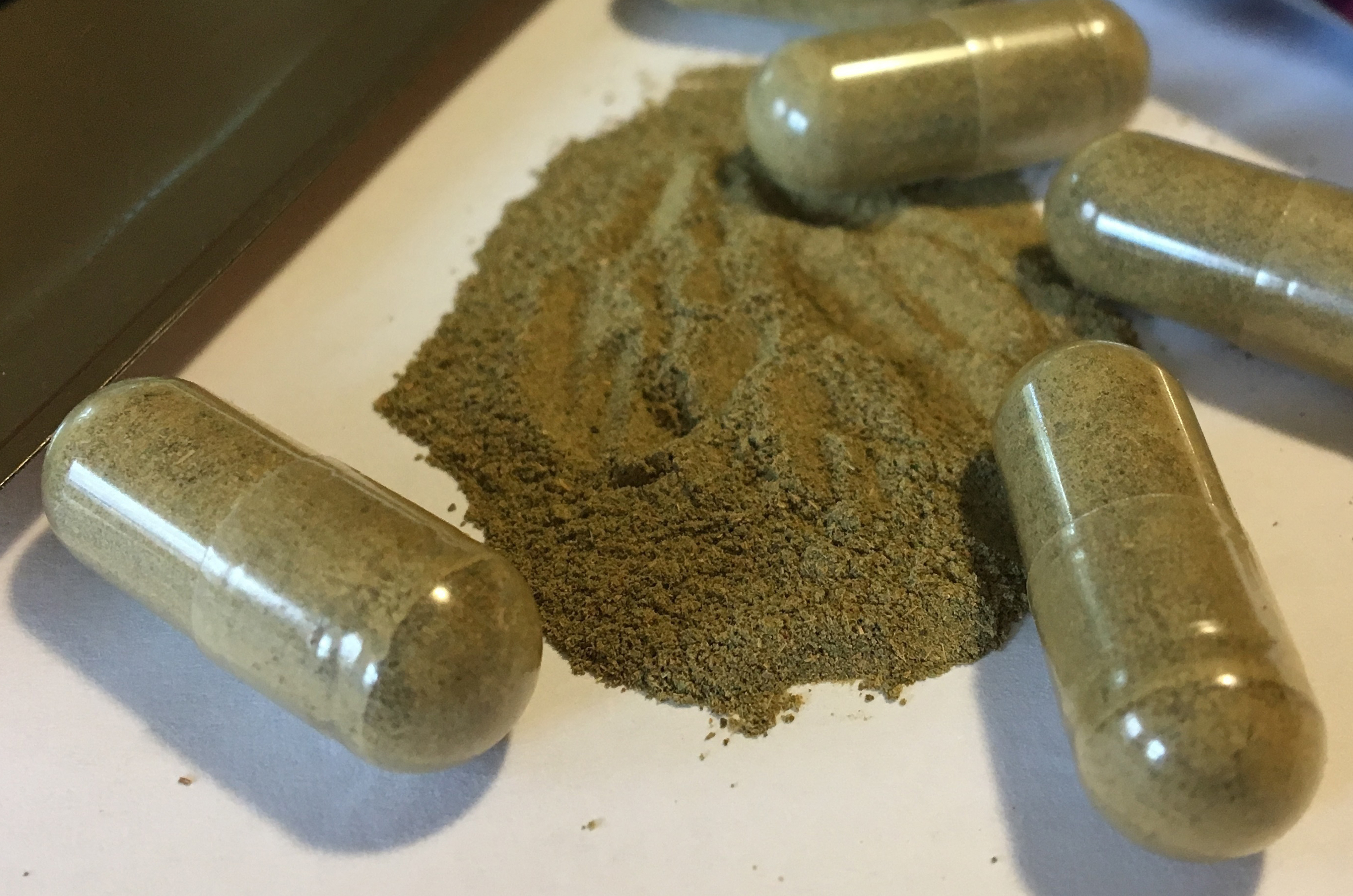FILE - This Sept. 27, 2017 file photo shows kratom capsules in Albany, N.Y. 