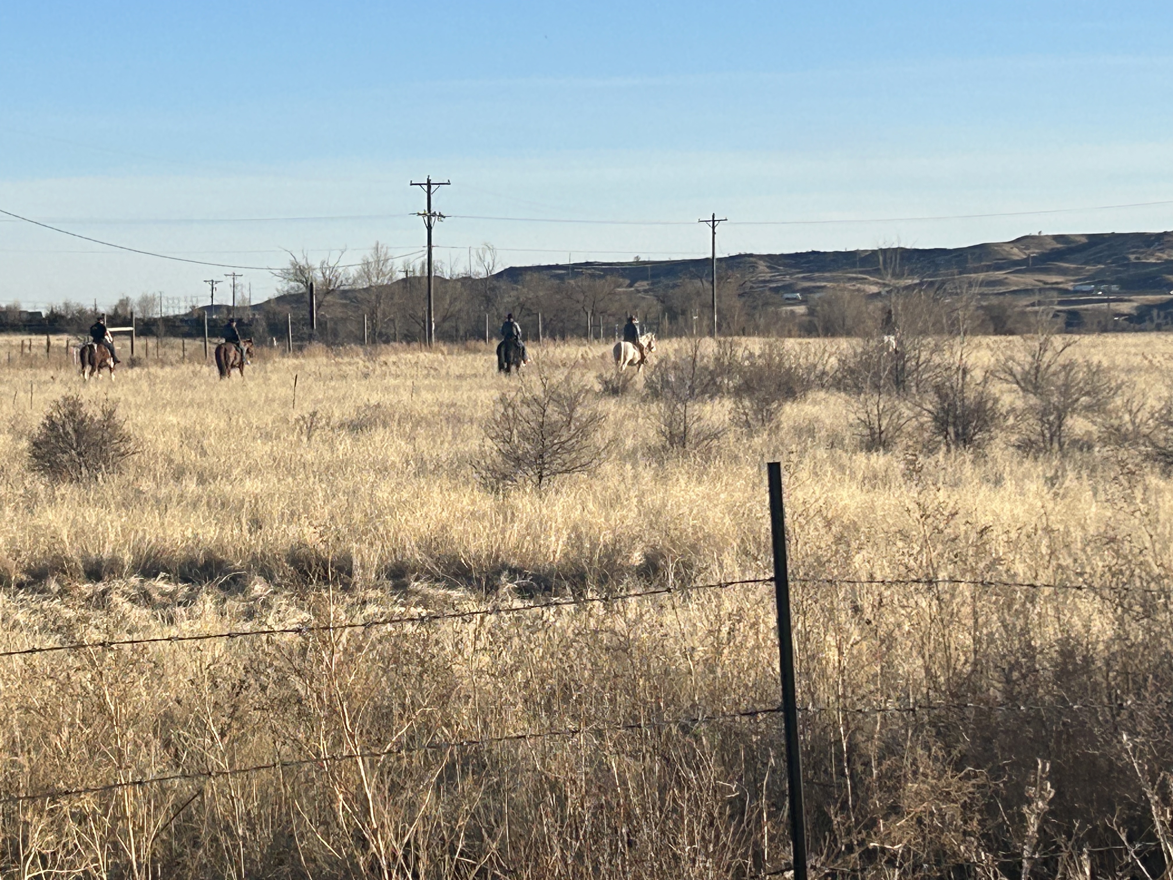 Human Remains Investigation