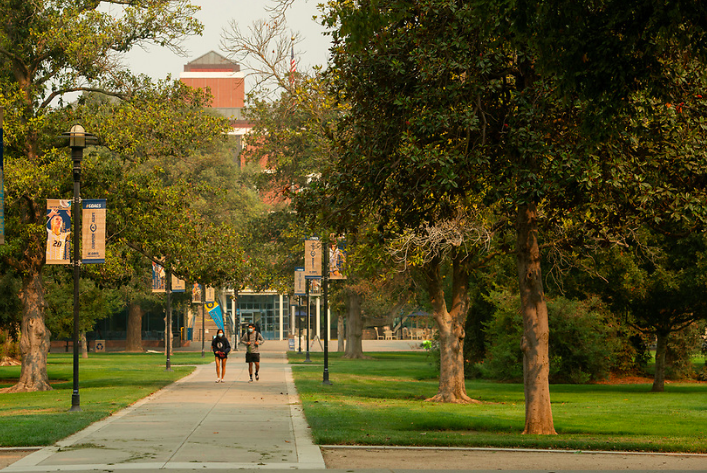 uc-davis.png