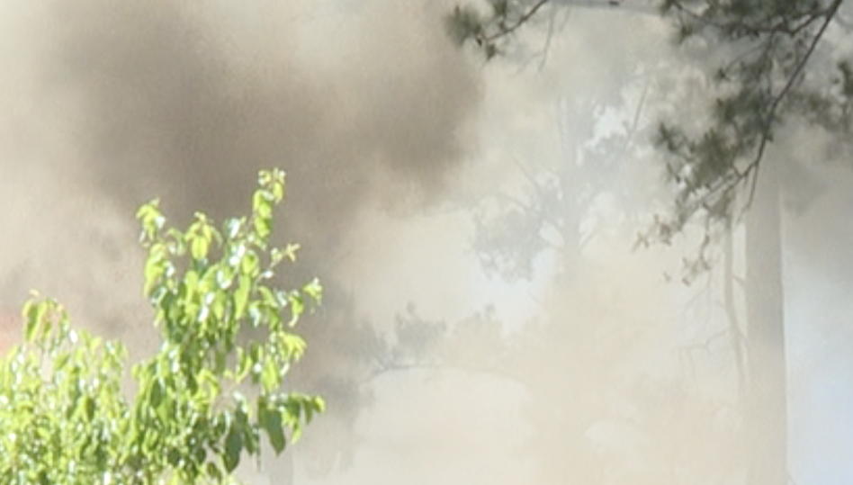ECHOLS WILDFIRE