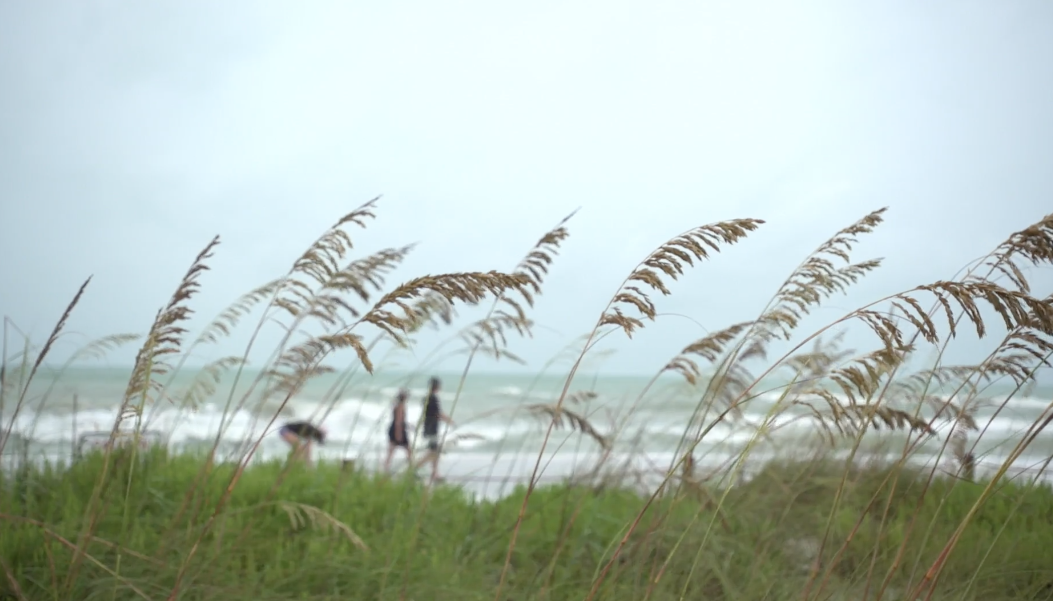 Visitors along Florida's west coast braved getting close to the Gulf of Mexico, ahead of the Tropical Storm Elsa's impacts.