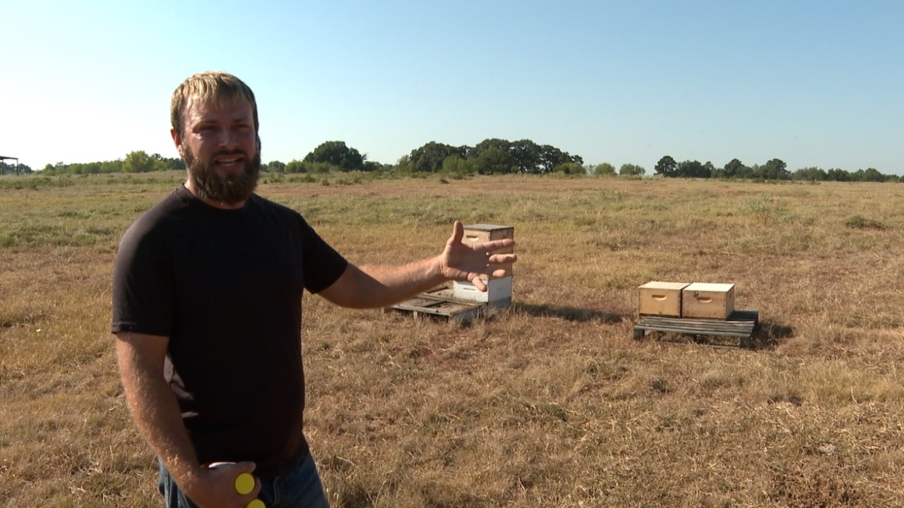 Local bee farmer raises funds for Hurricane Helene victims, how you can help prepare locally