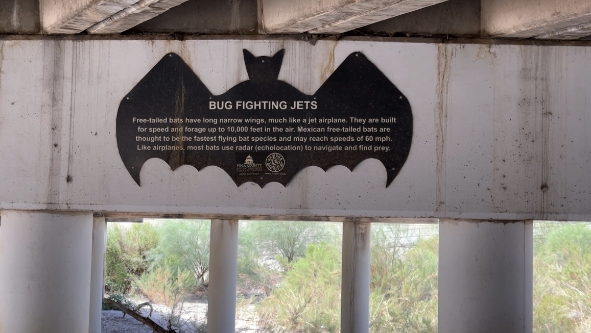 Campbell Avenue "Bat Bridge"
