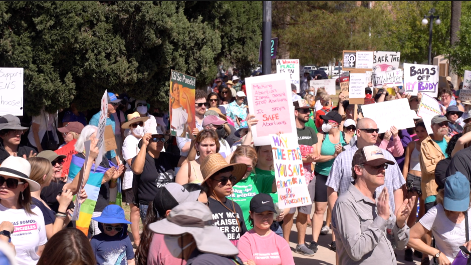 Abortion Protest in Armory Park on Saturday