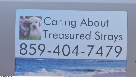 Caring about Treasured Strays.PNG