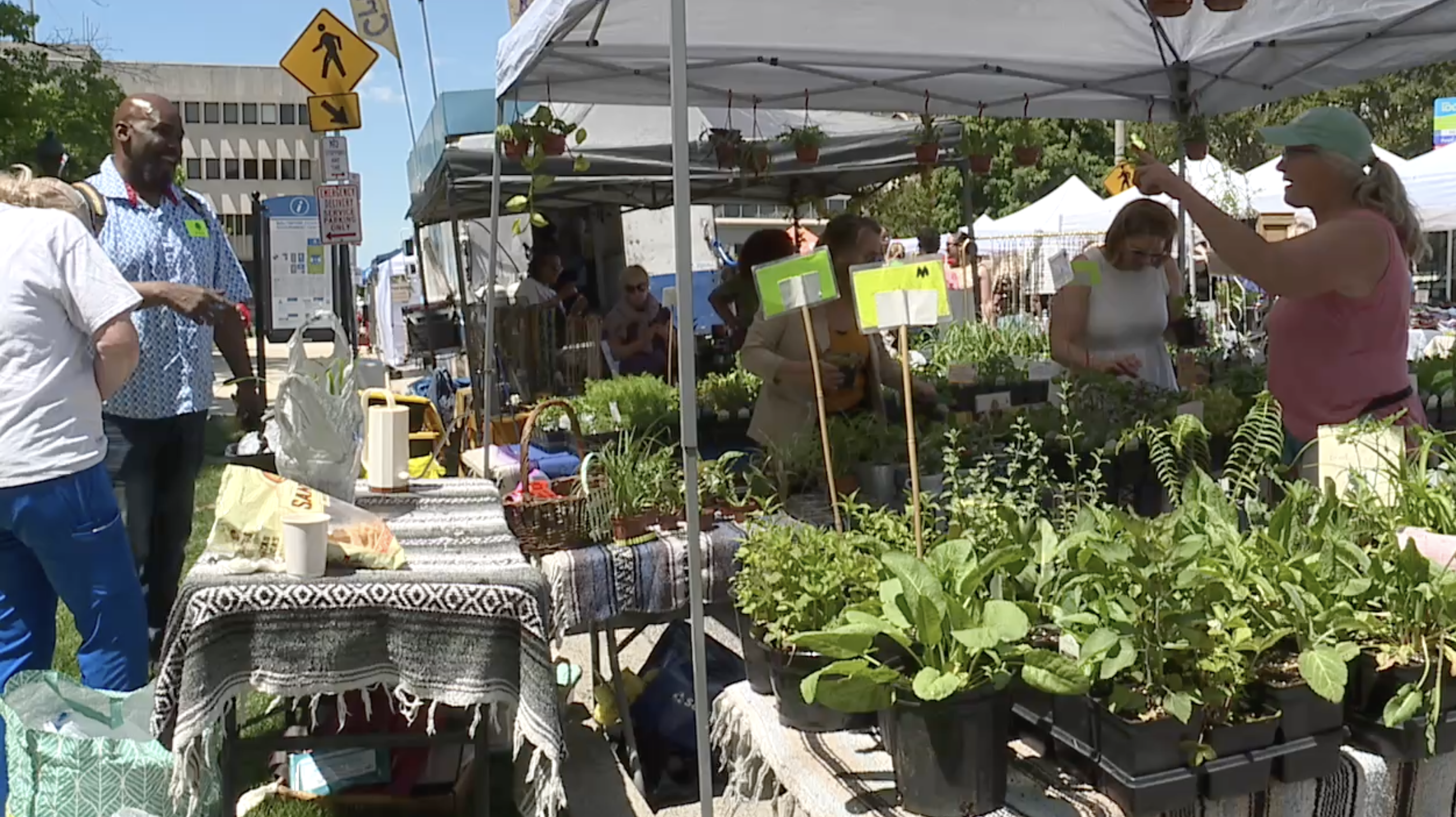 Towson's Gardens Day