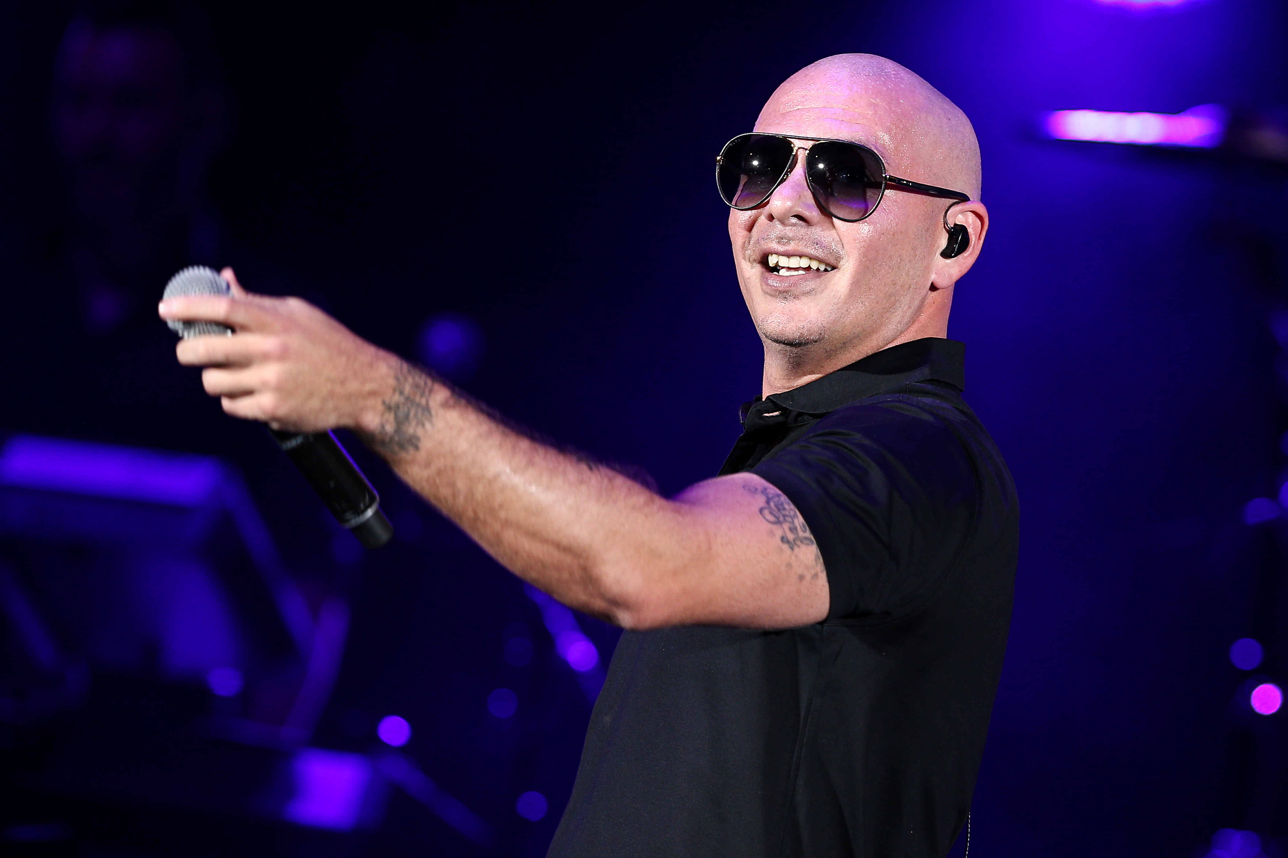 Pitbull