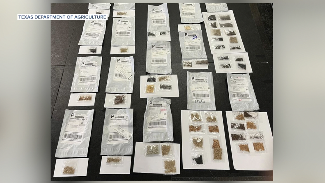 Mysterious seeds from China land in Central Texas mailboxes, officials issue warning