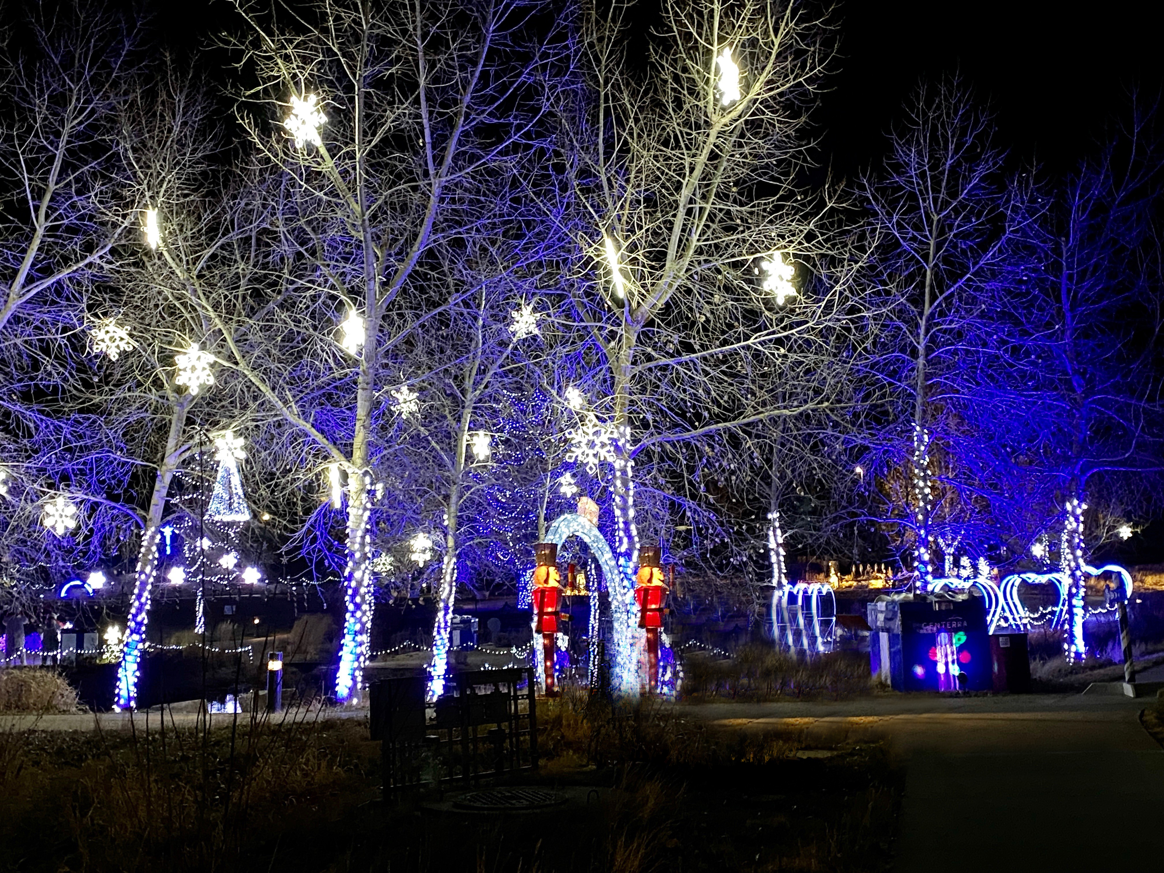 winter wonderlights loveland.jpg