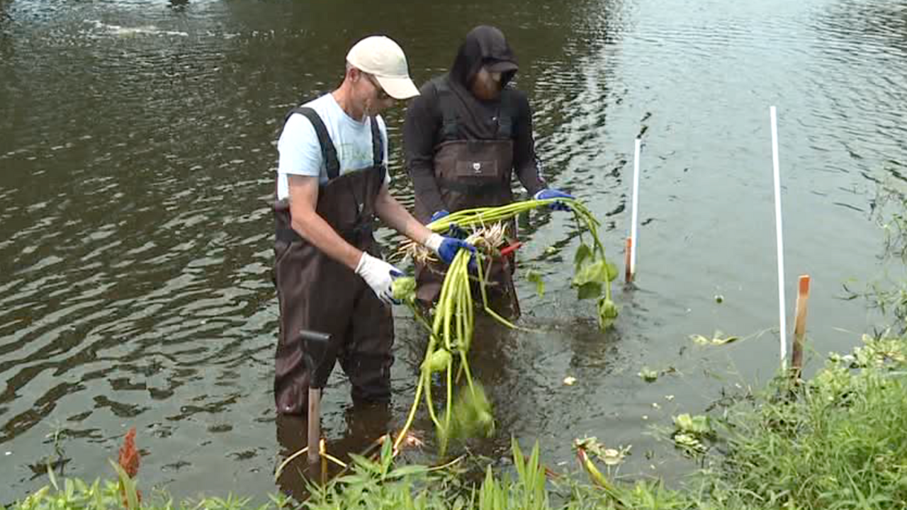 Community works together to save neighborhood lake