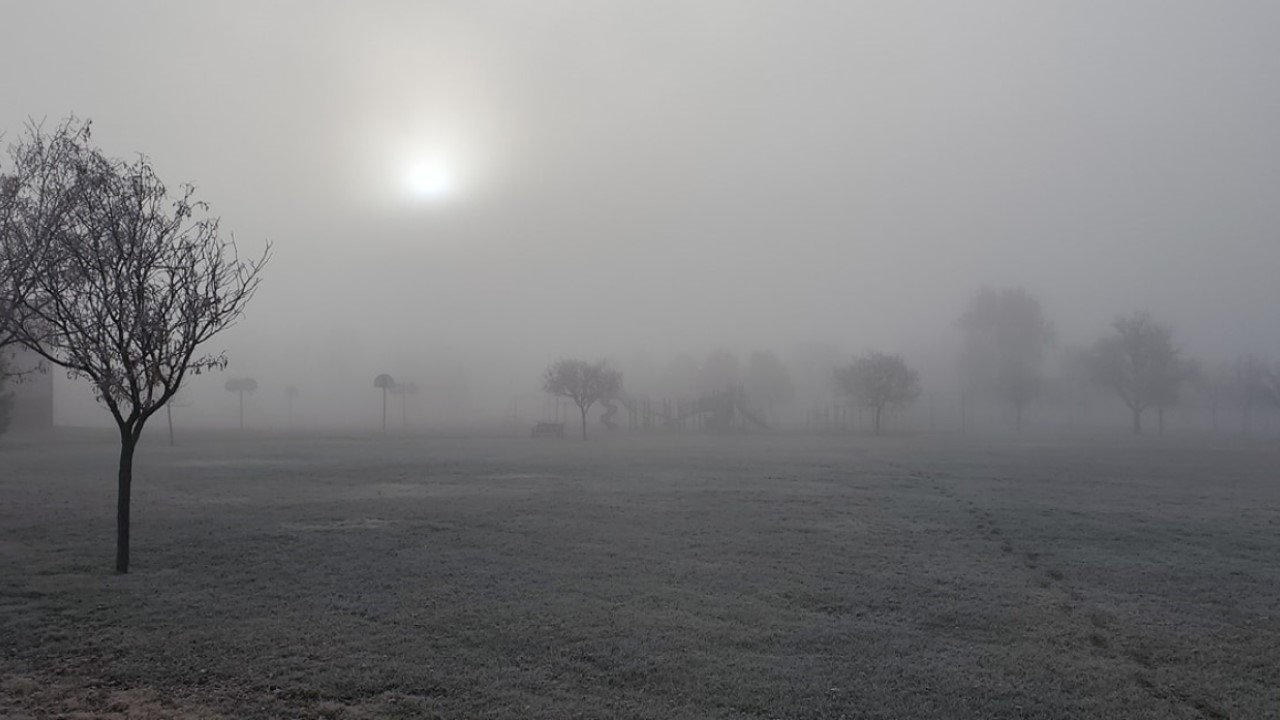 Fog and frost in Pueblo