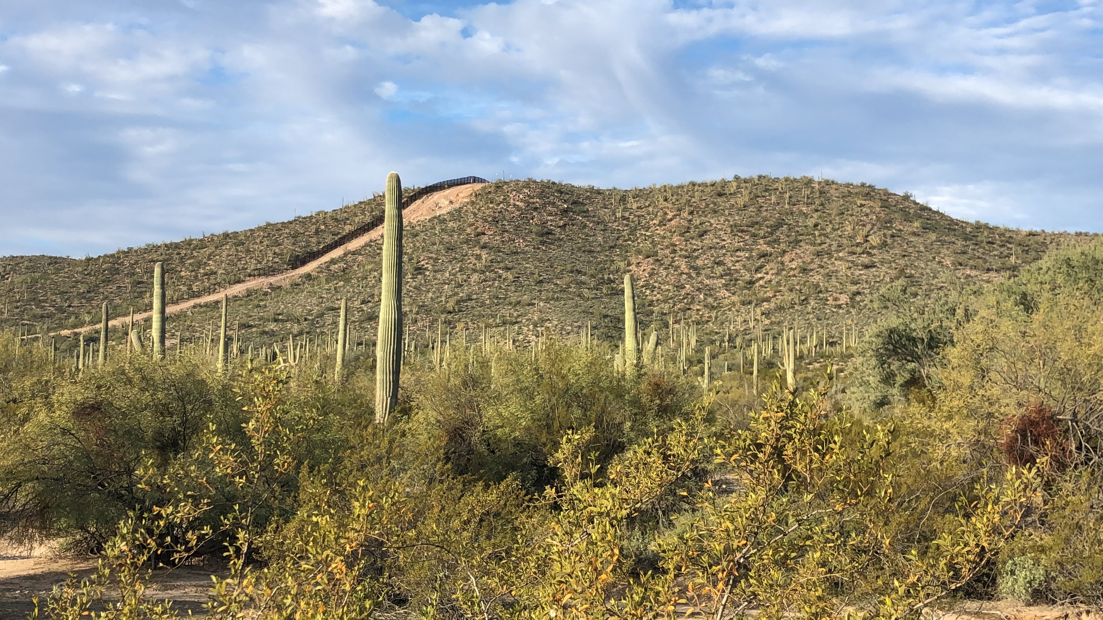 Tohono O'odham land