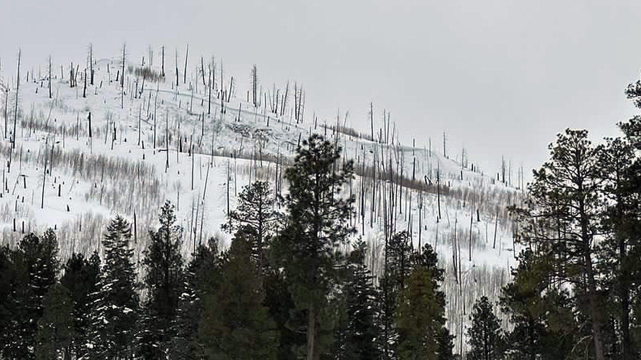 avalanche.png