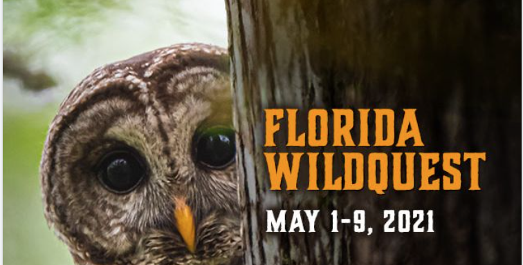 Screen Shot 2021-03-12 at 10.10.13 AM.png